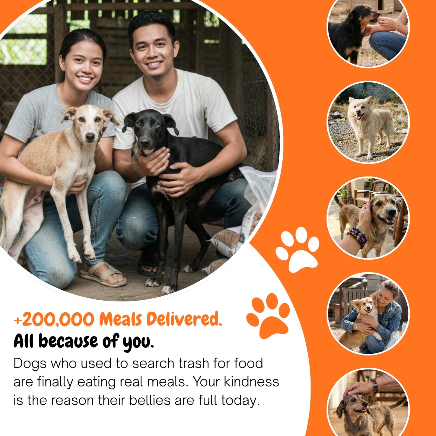 Heart Devotion Earrings